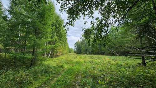 Фото Управления Россельхознадзора по Хакасии и Туве